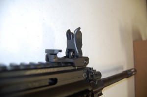 Front Sight