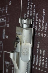 Ruger 556 Bolt Wiped Down